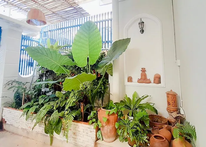 Là Nhà - Nguyên Căn 4 Ngủ, Gần Biển, Có Bếp, Bbq * Phan Thiết